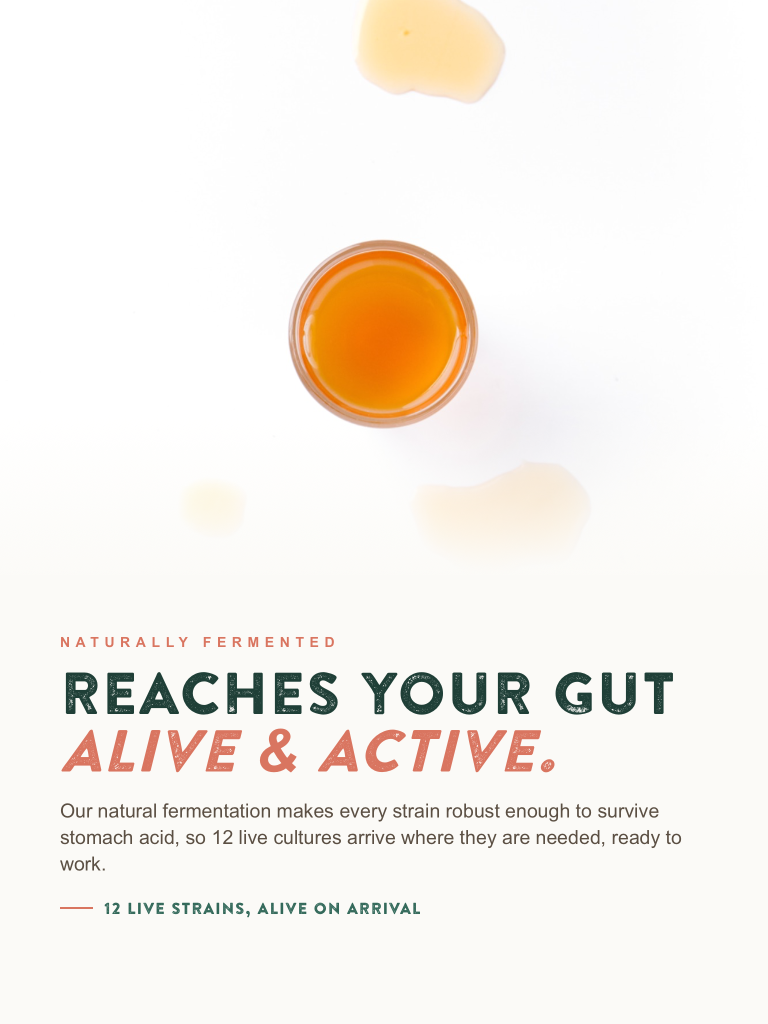 Restore balance to your gut