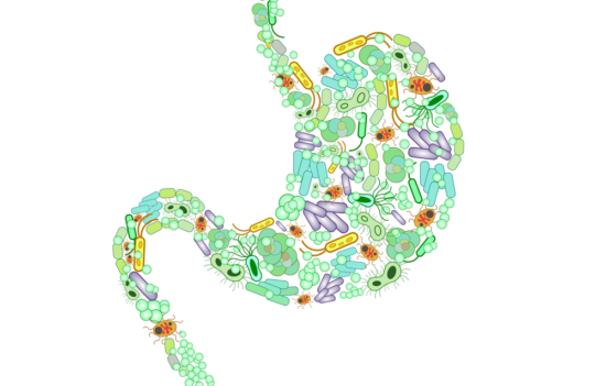 Inflammation: Disease Begins in Your Gut?